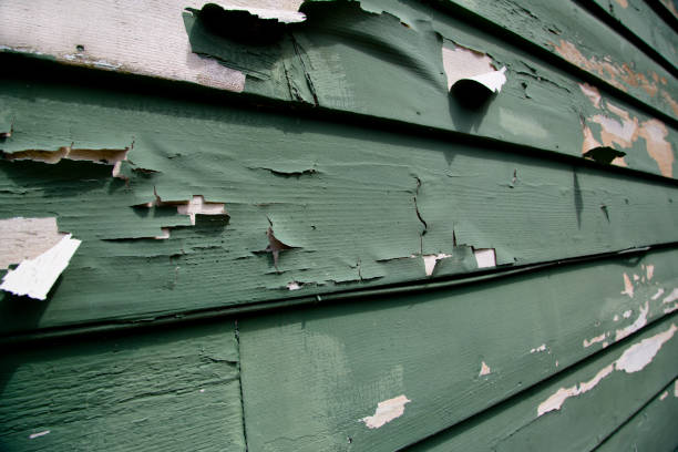 Best Siding for New Construction  in Snead, AL